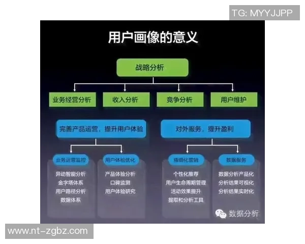 深圳极限运动队的区域防守策略揭秘与深度分析