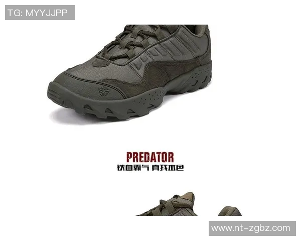 南京攀岩队整体压制打法深度分析与战术解读