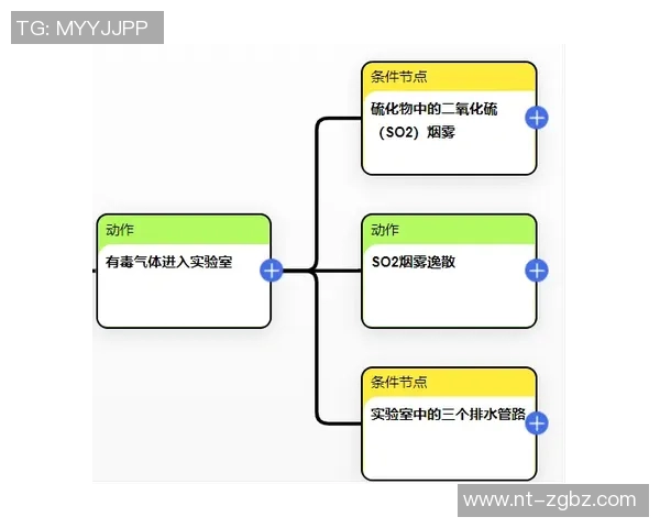 深入分析上海排球队反击战术的独特魅力与实战应用