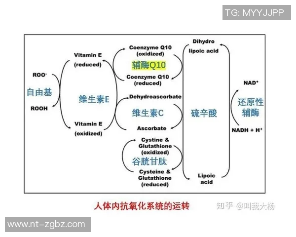 EDG战队在王者荣耀赛事中的全面压制分析与战术解读